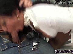 threeway shemale rimming