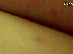 bbw doggie pound