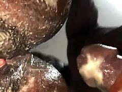 Pussy Asshole Fuck