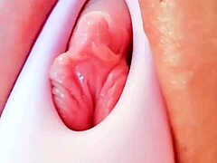 toy pussy spa