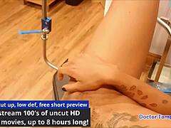 entrance physical lotus