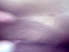 paula shy pussy