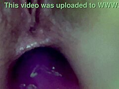 Artemisia Anal Stretch