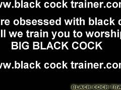 bbc painful thrust