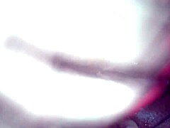 paula shy pussy