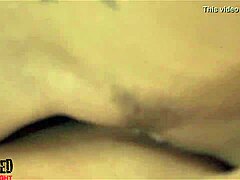 Lesbian Pussy Fight