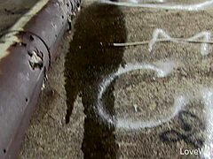 kitty public piss