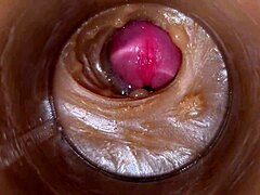 Precum Pussy Closeup