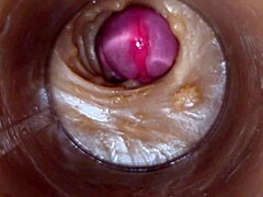 Precum Pussy Closeup