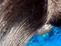 ebony mouth cum