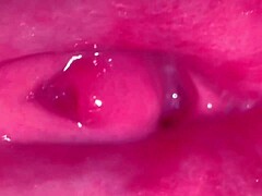 Suggestive Pink Pussy