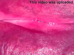 Suggestive Pink Pussy