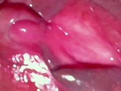 Suggestive Pink Pussy