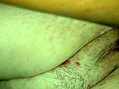 Milf Creampie Compilation