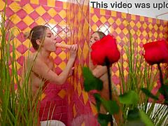 Anal Dildo In Bathroom