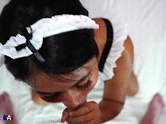 asian maid cum in mouth