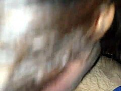 milf sucks cock