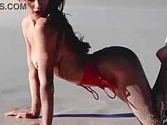 Gloria Sol Brunette Babe