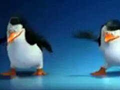 Pinguinos de madagascar