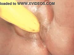 desi bhabhi fucked