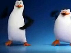 Pinguinos de madagascar