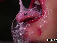 Jizz Facial Gulp