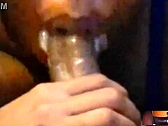 perfect lips nut