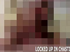 Own Your Cock Now